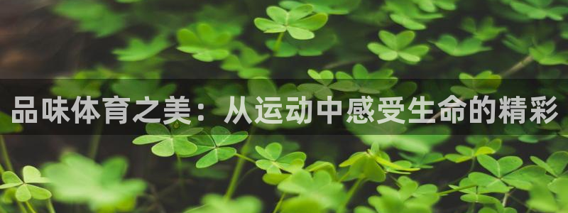 品味体育之美：从运动中感受生命的精彩
