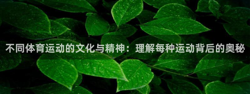 不同体育运动的文化与精神：理解每种运动背后的奥秘