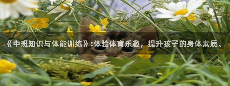 《中班知识与体能训练》:体验体育乐趣，提升孩子的身体素质。