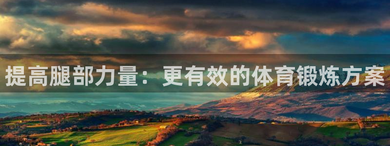 提高腿部力量：更有效的体育锻炼方案