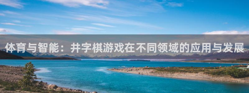 体育与智能：井字棋游戏在不同领域的应用与发展