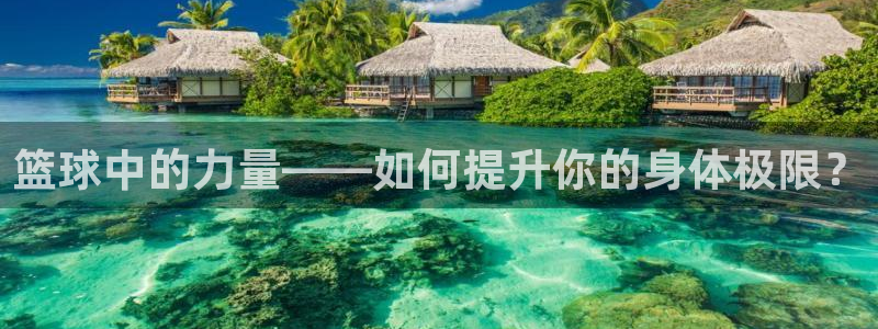 篮球中的力量——如何提升你的身体极限？