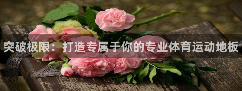 突破极限：打造专属于你的专业体育运动地板