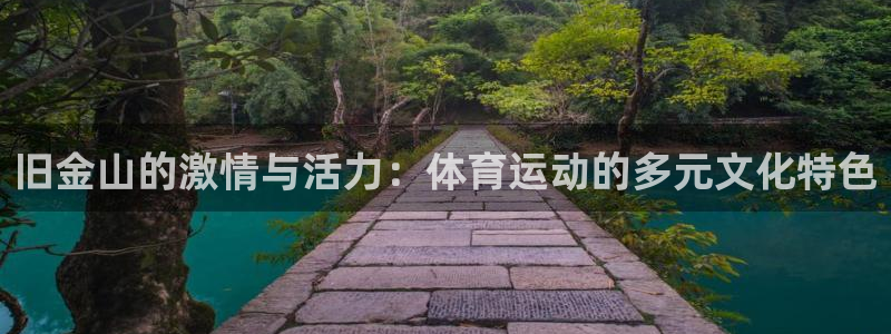 旧金山的激情与活力：体育运动的多元文化特色