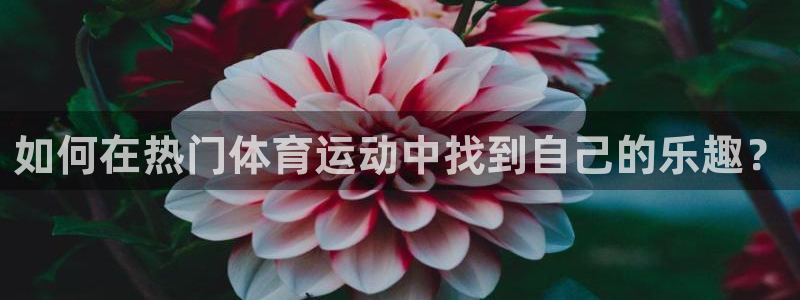 如何在热门体育运动中找到自己的乐趣？