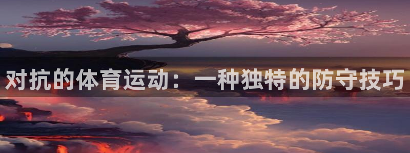 对抗的体育运动：一种独特的防守技巧
